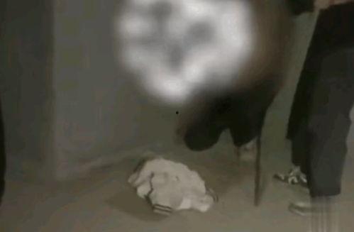 男生和女生脱内衣视频,内衣视频背后的故事